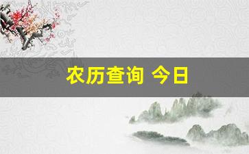 农历查询 今日